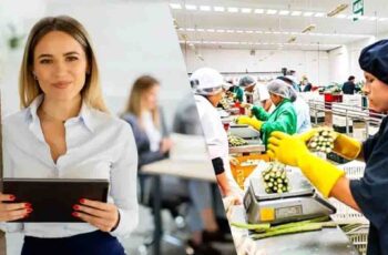 7 consejos prácticos para conseguir empleo más rápido