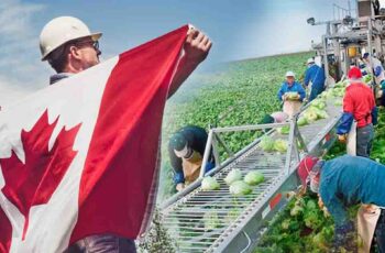 Trabajos en Canadá para Extranjeros: Requisitos, Sectores y Cómo Aplicar desde tu País